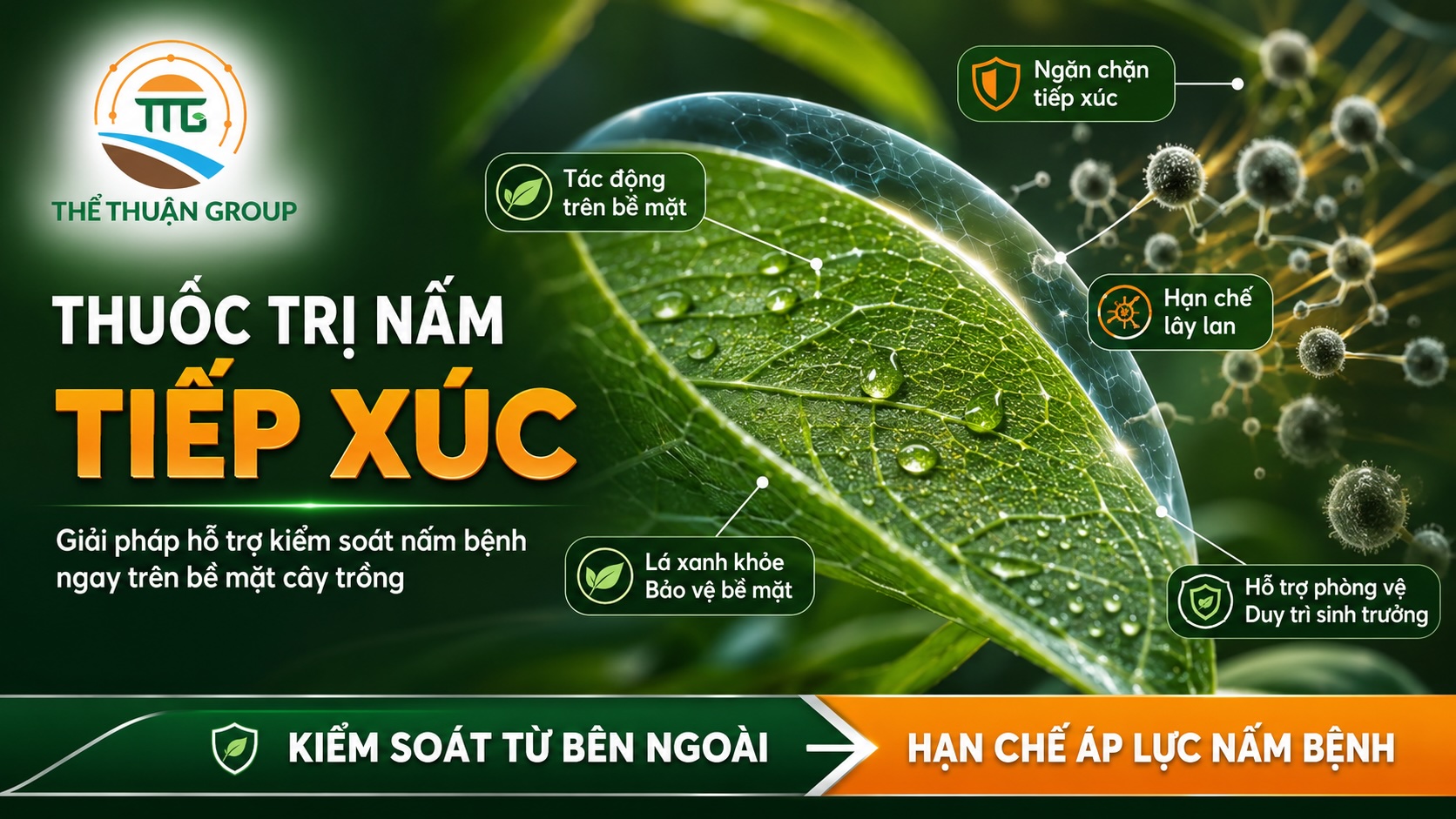 Thuốc trị nấm tiếp xúc Thuốc trị nấm tiếp xúc