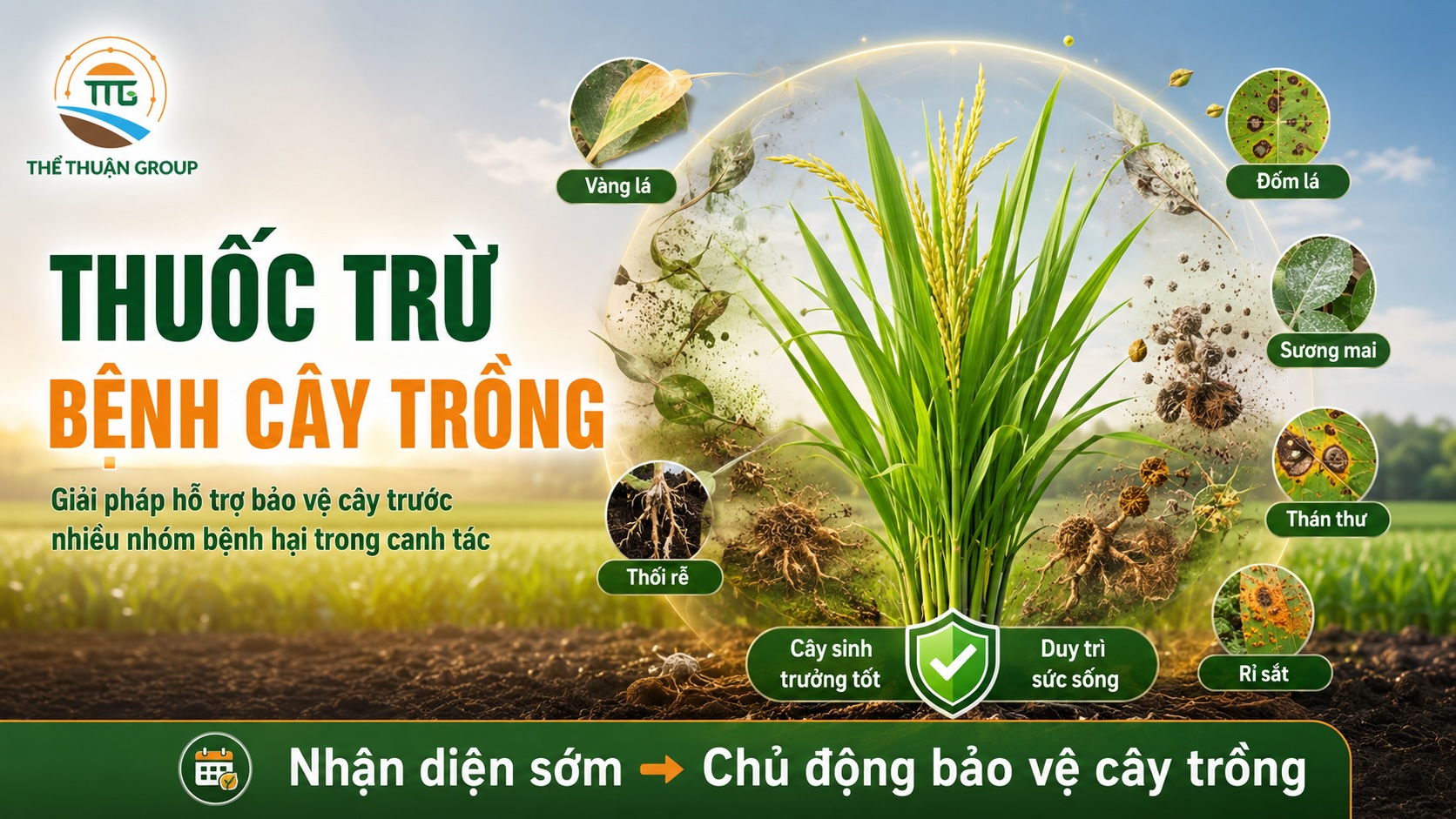 Thuốc trừ bệnh cây trồng Thuốc trừ bệnh cây trồng