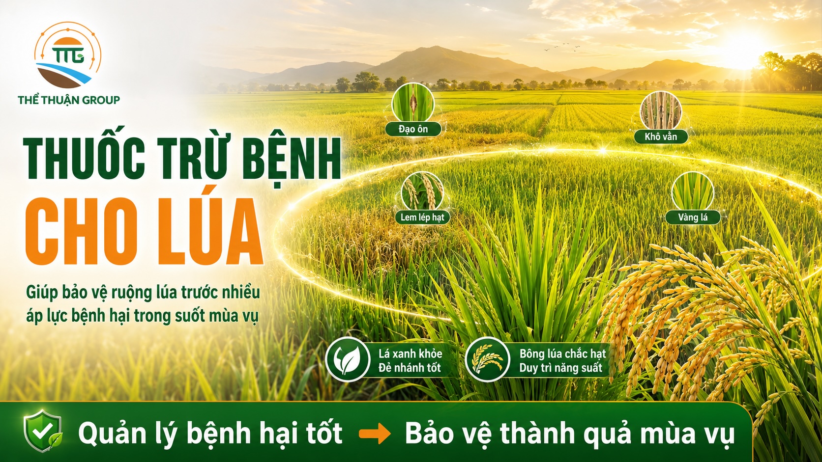 Thuốc trừ bệnh cho lúa
