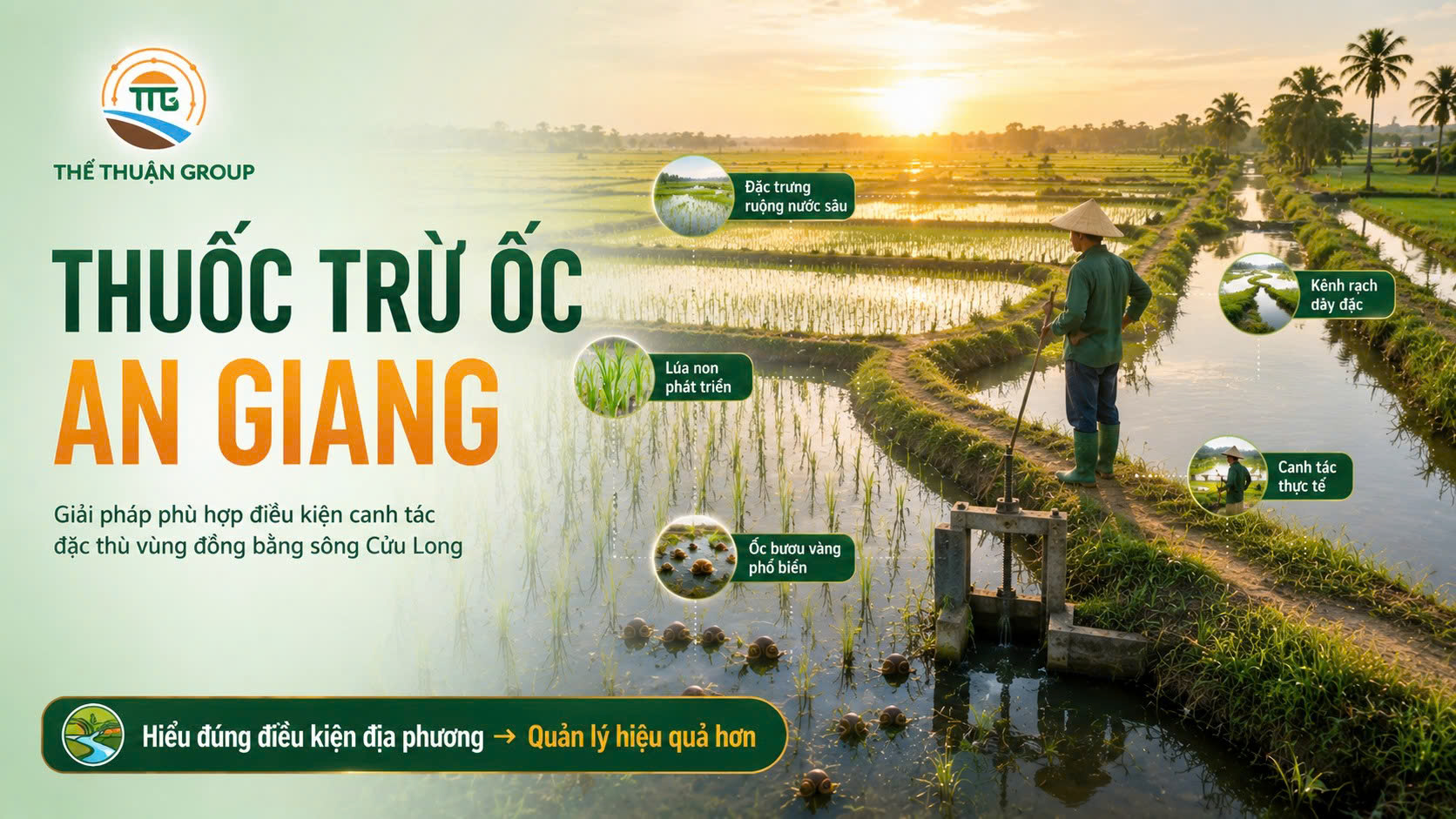 Thuốc trừ ốc an giang Thuốc trừ ốc an giang