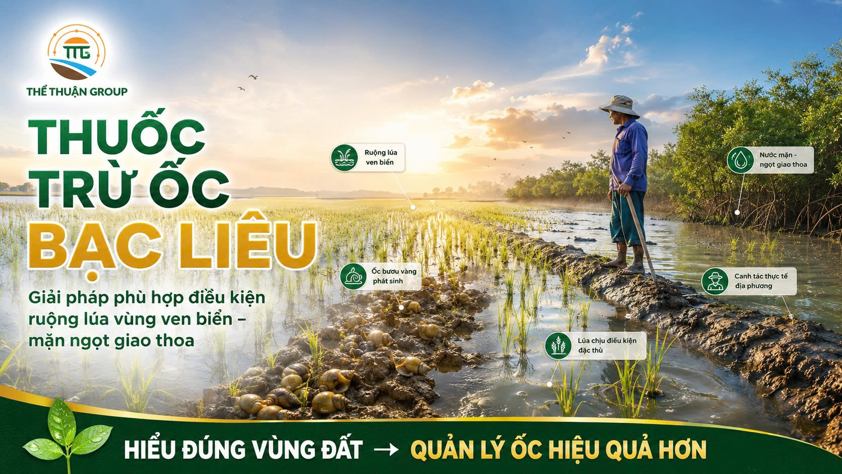 Thuốc trừ ốc bạc liêu Thuốc trừ ốc bạc liêu