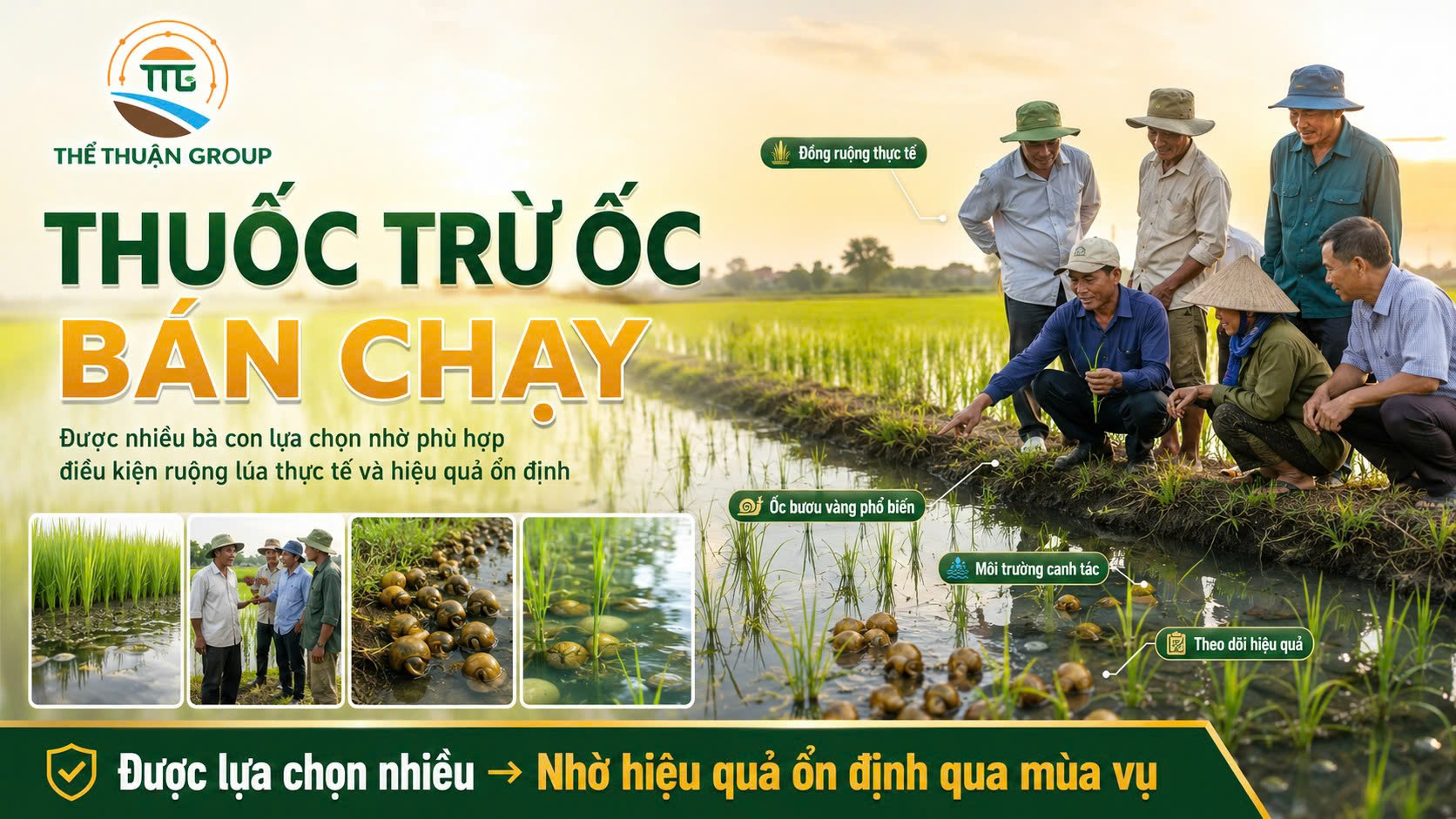 Thuốc trừ ốc bán chạy