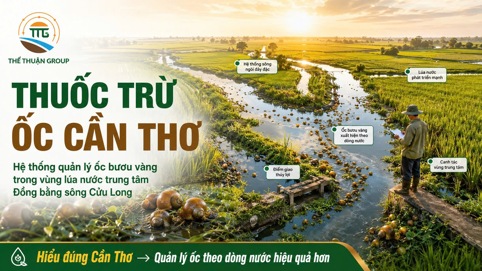 Thuốc trừ ốc cần thơ Thuốc trừ ốc cần thơ