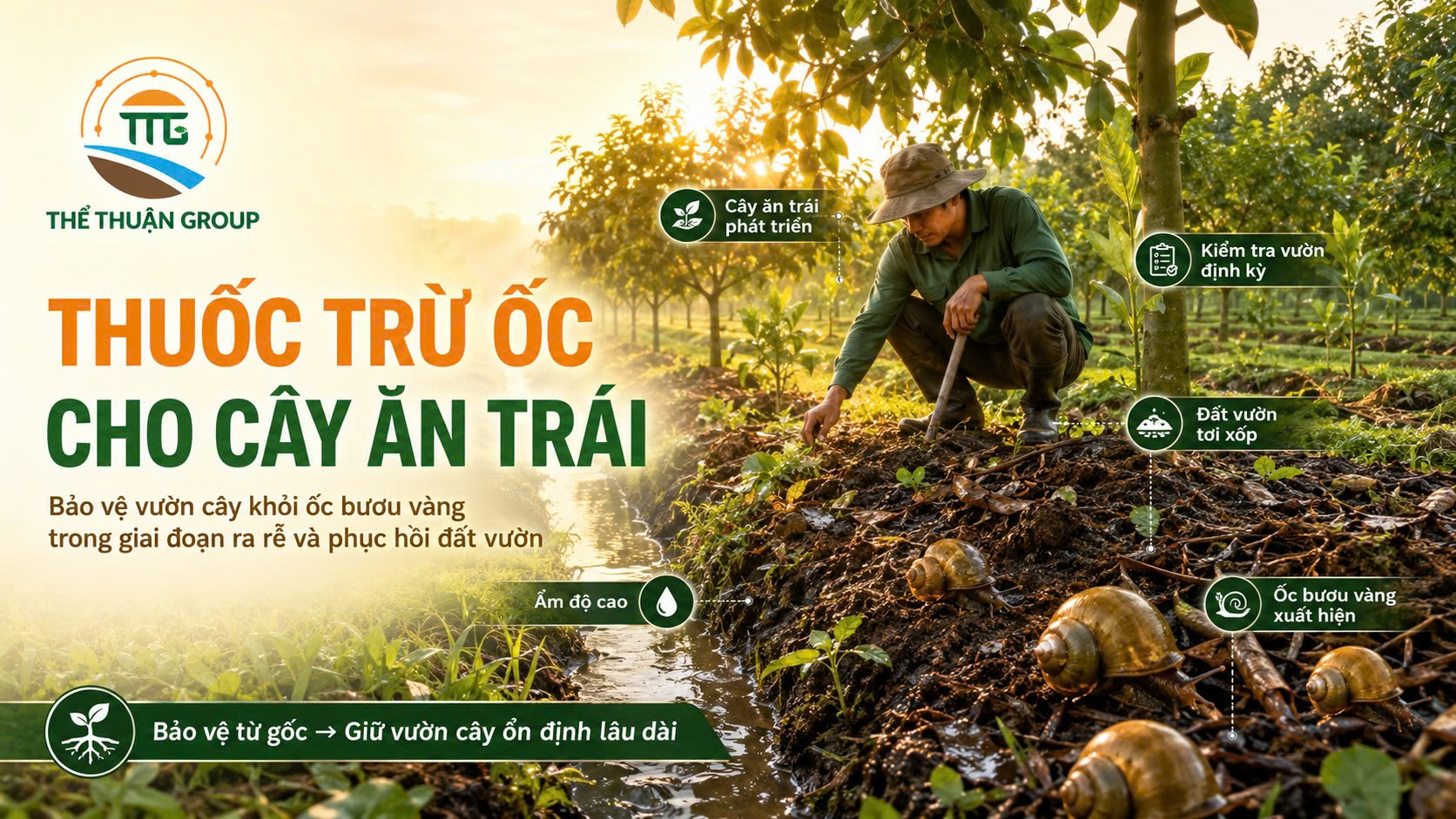 Thuốc trừ ốc cho cây ăn trái