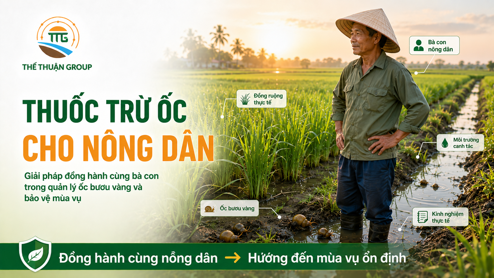 Thuốc trừ ốc cho nông dân Thuốc trừ ốc cho nông dân