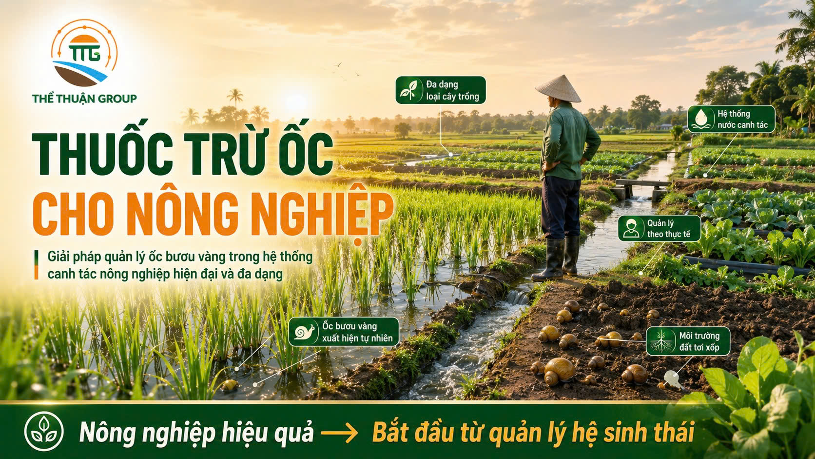 Thuốc trừ ốc cho nông nghiệp Thuốc trừ ốc cho nông nghiệp