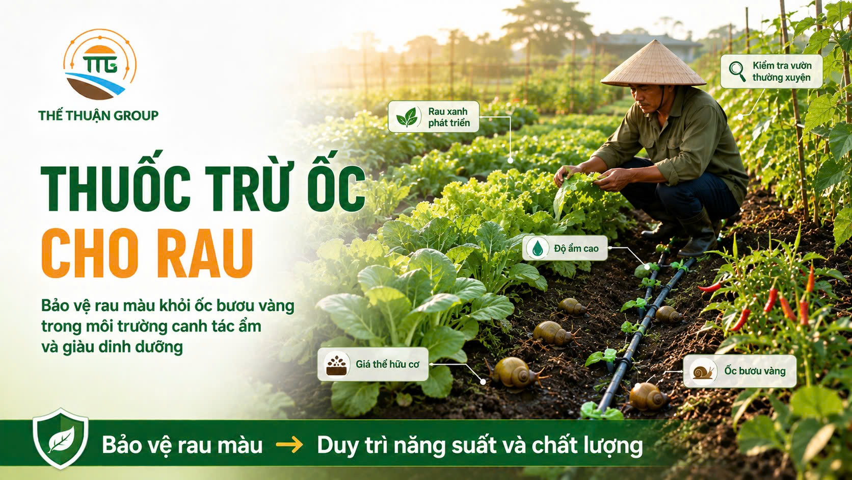 Thuốc trừ ốc cho rau
