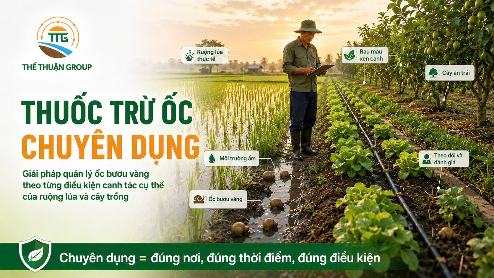 Thuốc trừ ốc chuyên dụng Thuốc trừ ốc chuyên dụng
