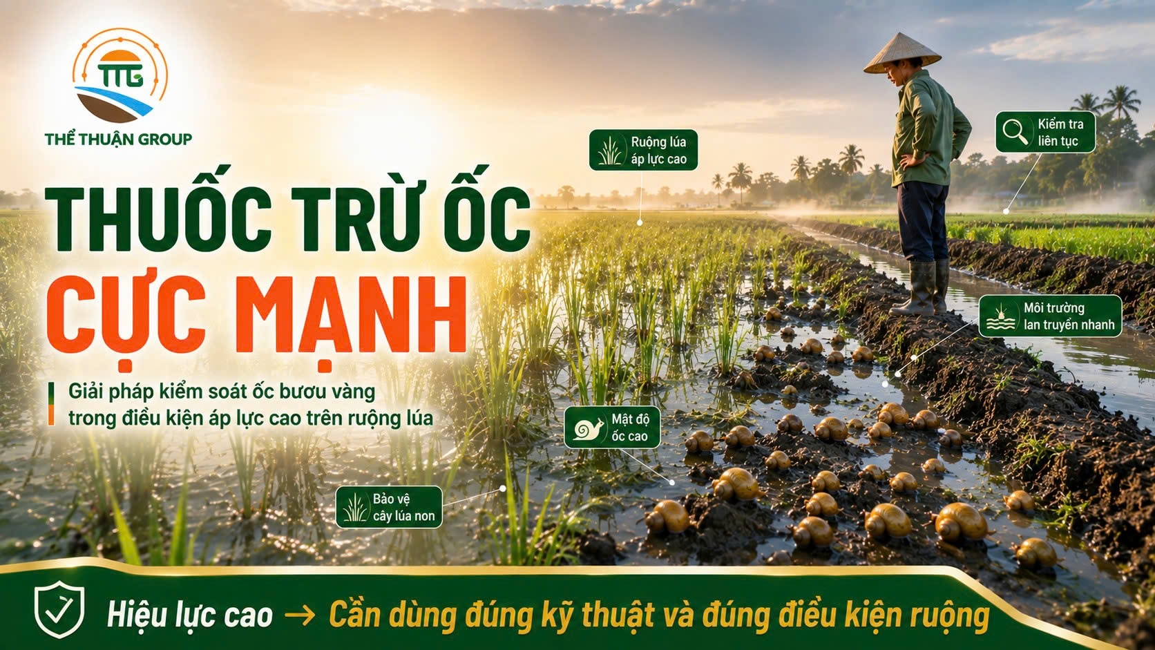 Thuốc trừ ốc cực mạnh Thuốc trừ ốc cực mạnh