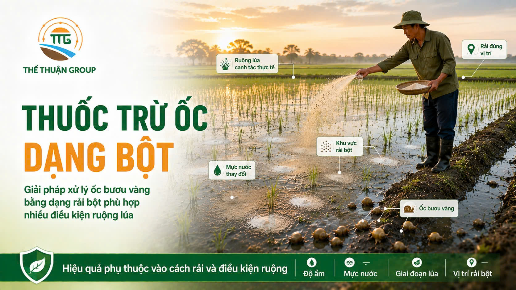 Thuốc trừ ốc dạng bột Thuốc trừ ốc dạng bột