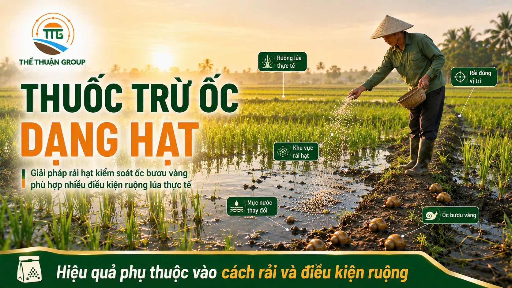 Thuốc trừ ốc dạng hạt Thuốc trừ ốc dạng hạt