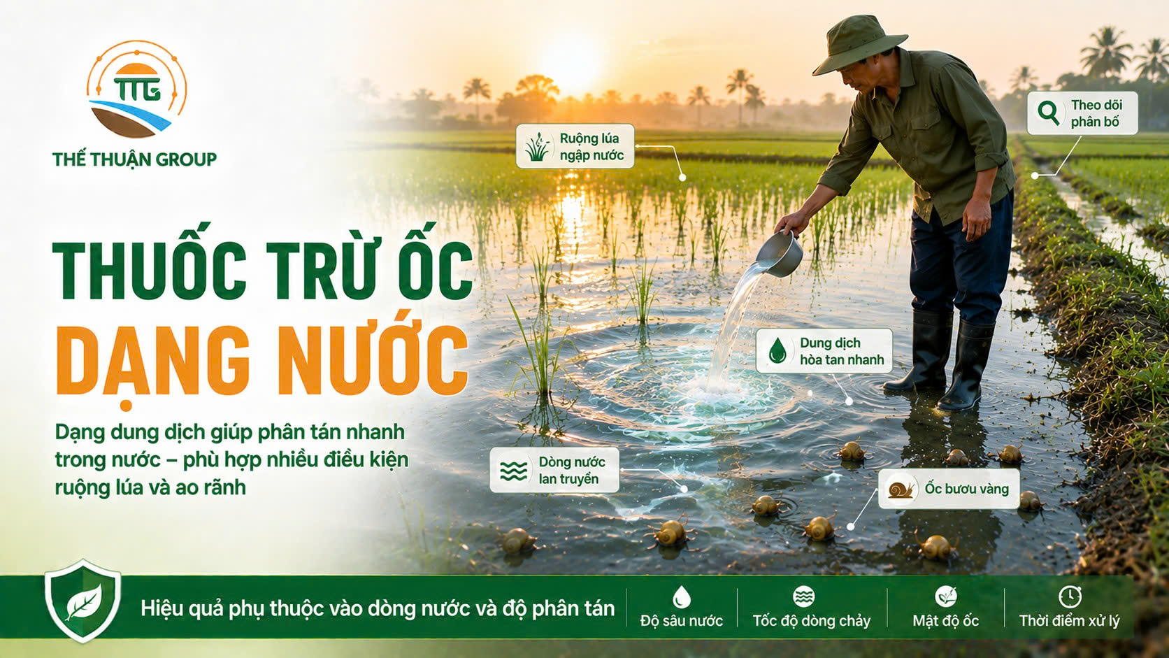 Thuốc trừ ốc dạng nước Thuốc trừ ốc dạng nước