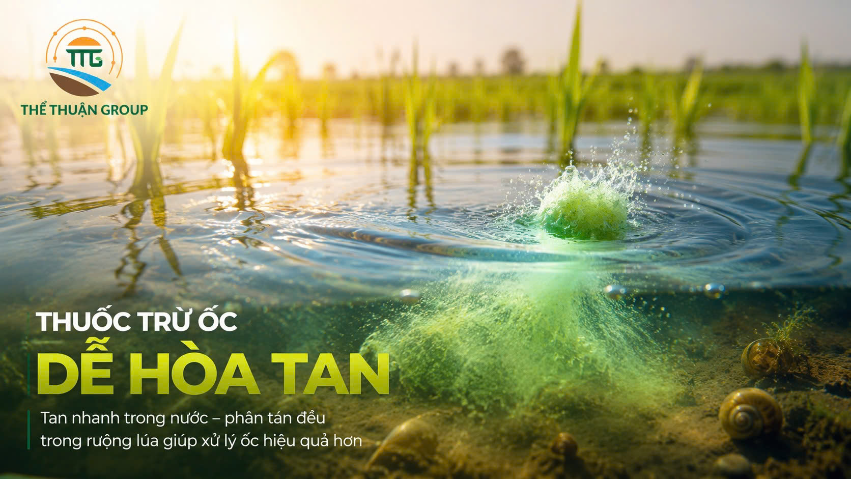 thuốc trừ ốc dễ hòa tan