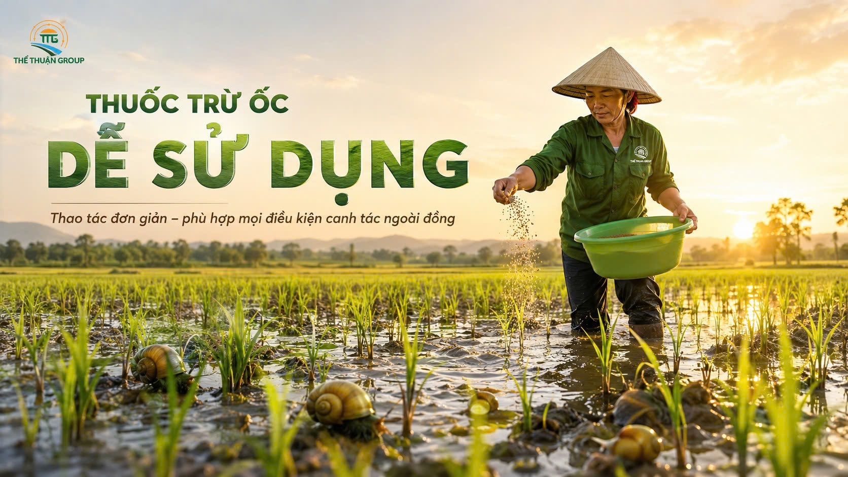 Thuốc trừ ốc dễ sử dụng