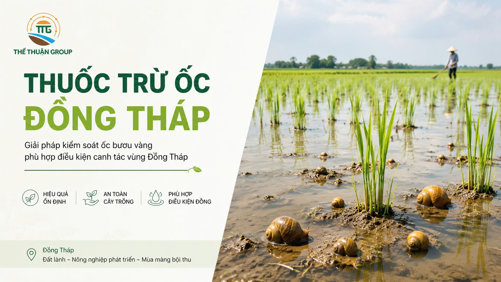 Thuốc trừ ốc đồng tháp
