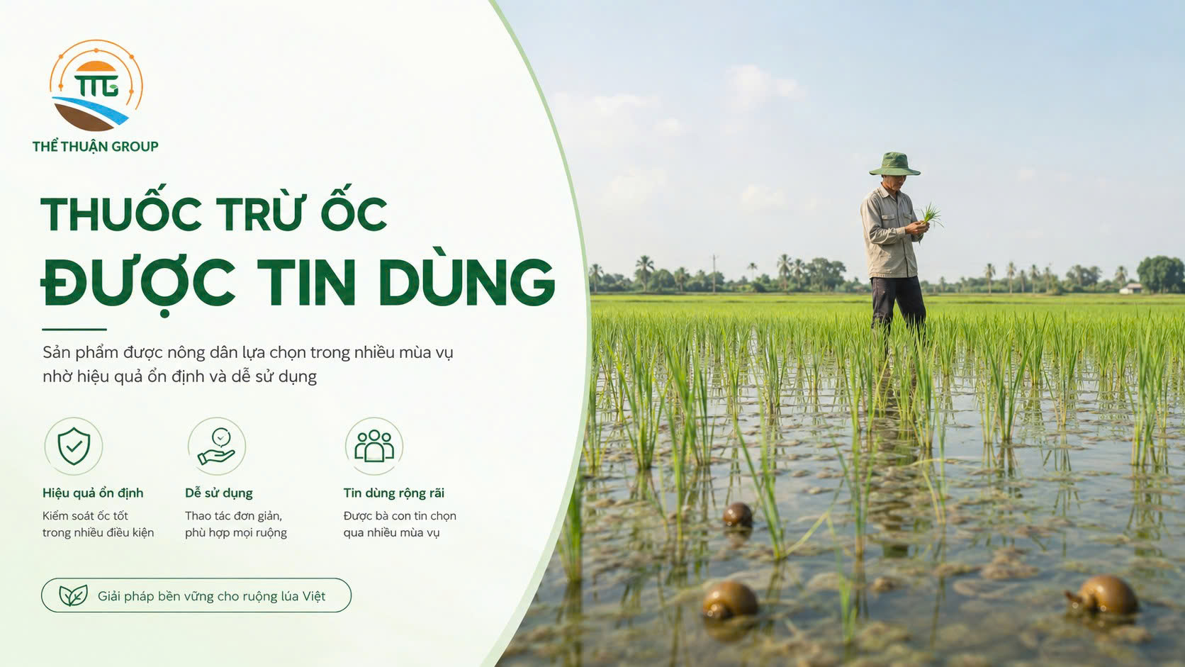 Thuốc trừ ốc được tin dùng