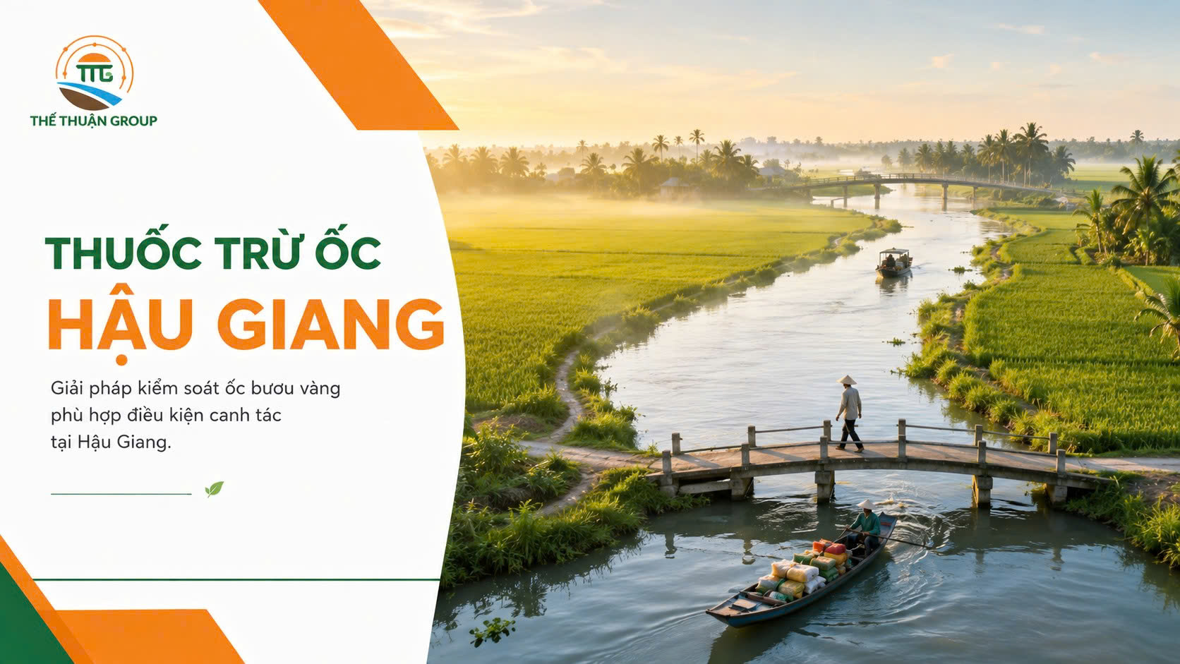 Thuốc trừ ốc hậu giang