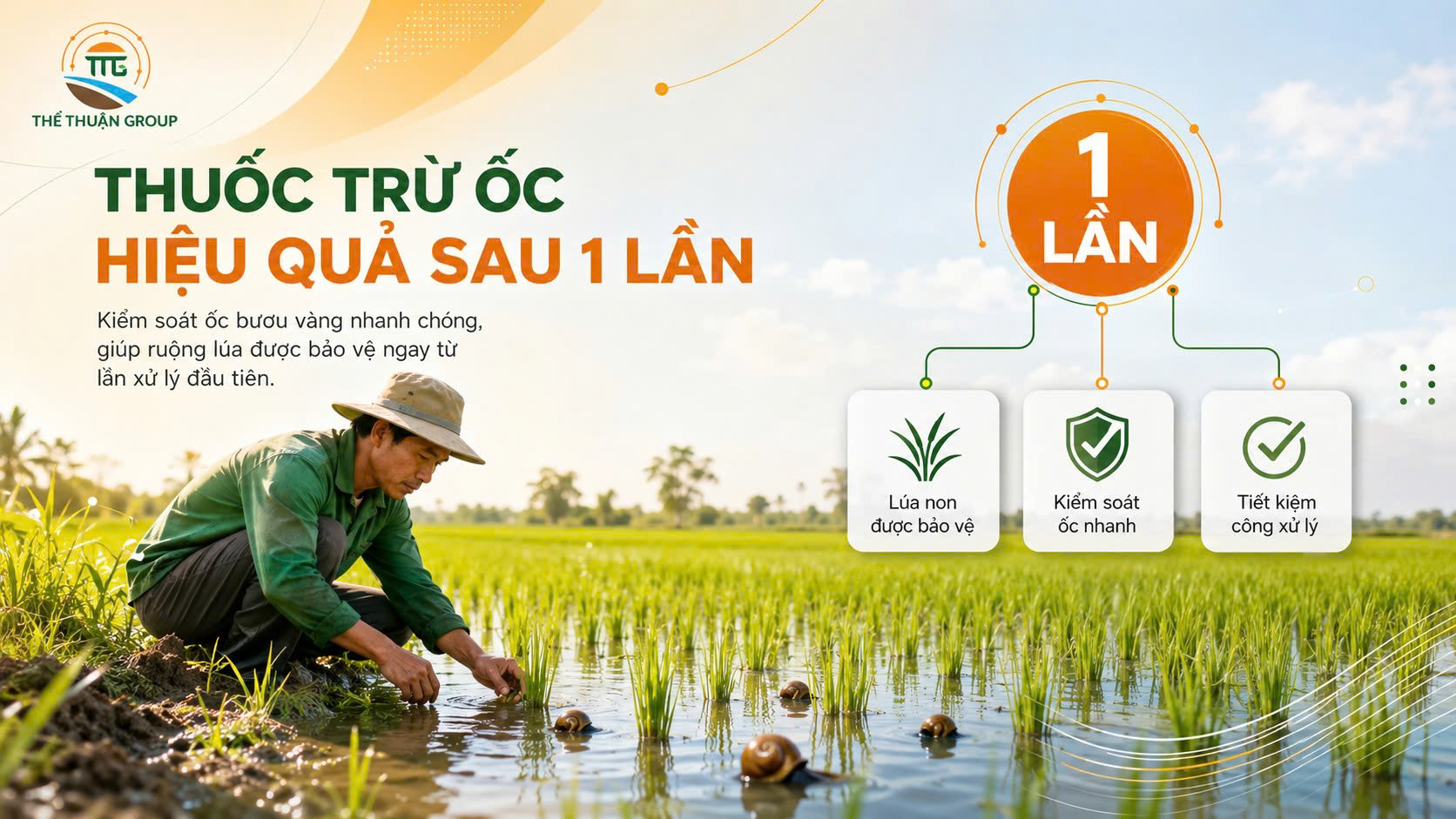 Thuốc trừ ốc hiệu quả sau 1 lần