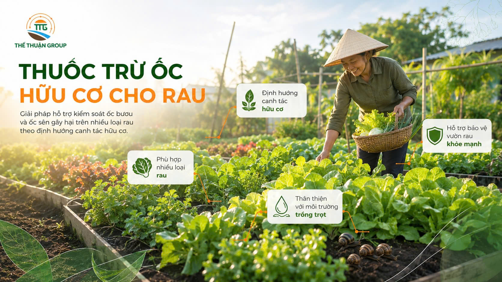 Thuốc trừ ốc hữu cơ cho rau