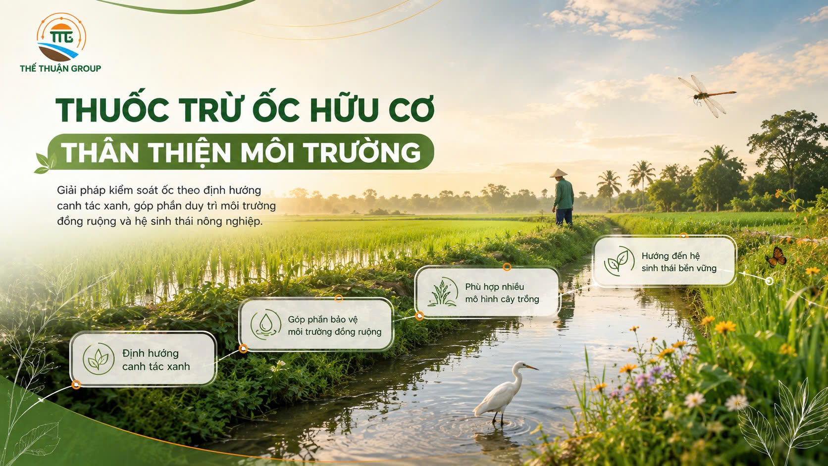 Thuốc trừ ốc hữu cơ thân thiện môi trường
