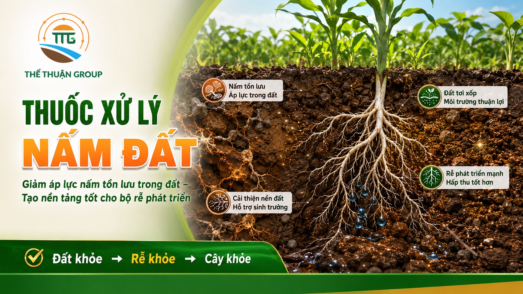 Thuốc xử lý nấm đất