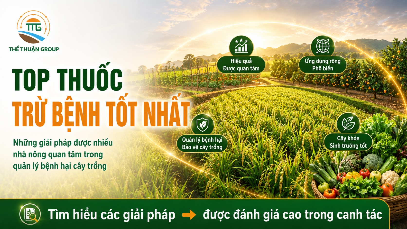 Top thuốc trừ bệnh tốt nhất