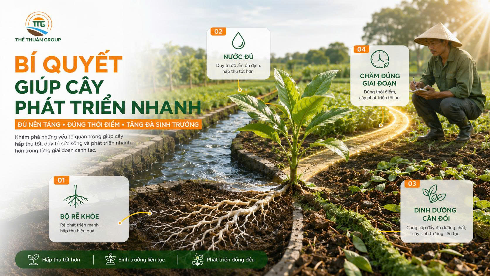 Bí quyết giúp cây phát triển nhanh Bí quyết giúp cây phát triển nhanh