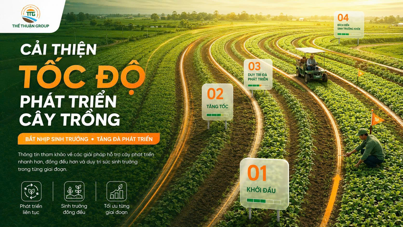Cải thiện tốc độ phát triển cây trồng Cải thiện tốc độ phát triển cây trồng