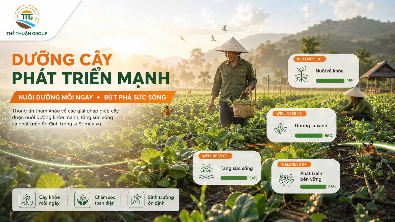 Dưỡng cây phát triển mạnh Dưỡng cây phát triển mạnh