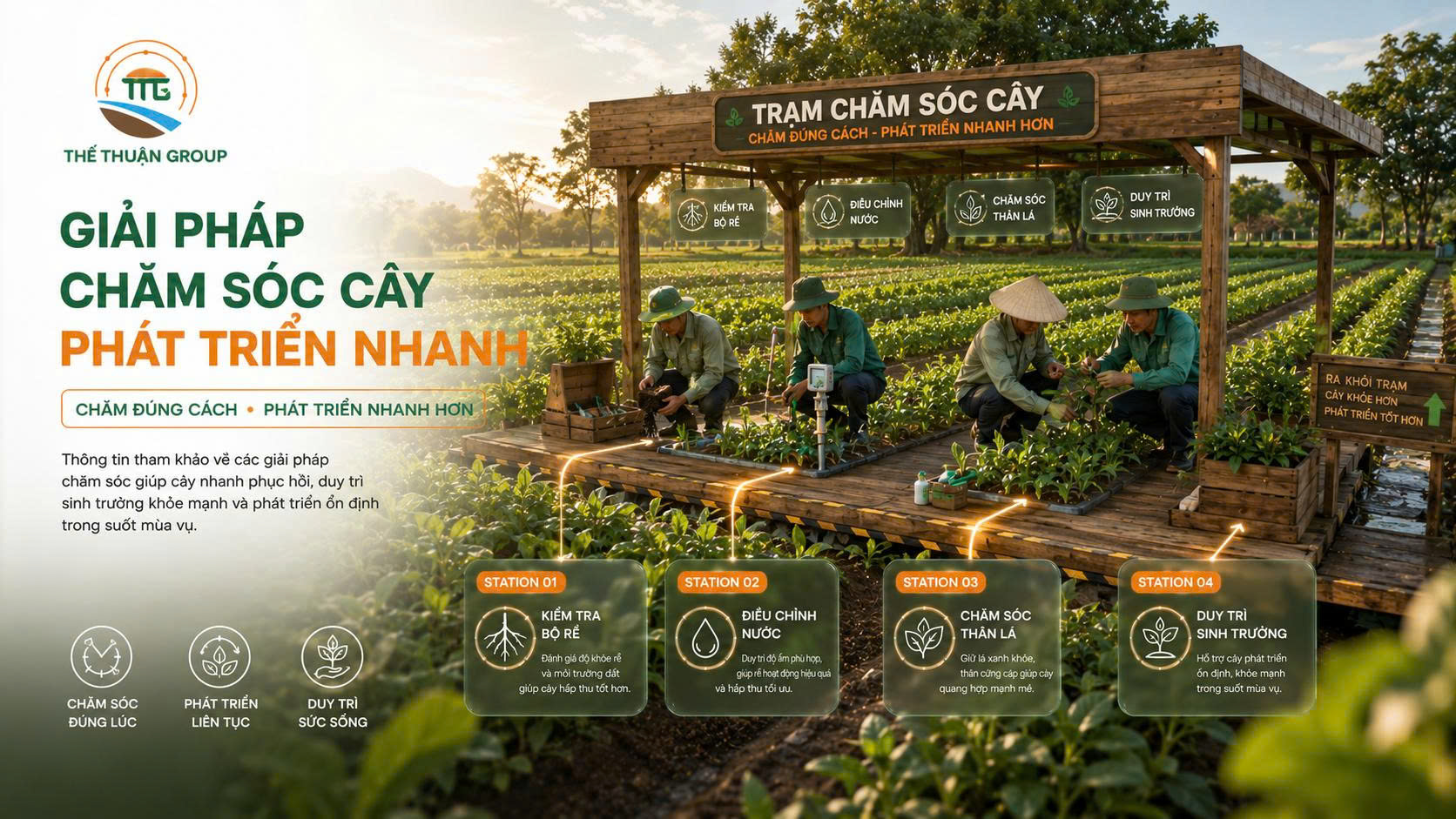 Giải pháp chăm sóc cây phát triển nhanh