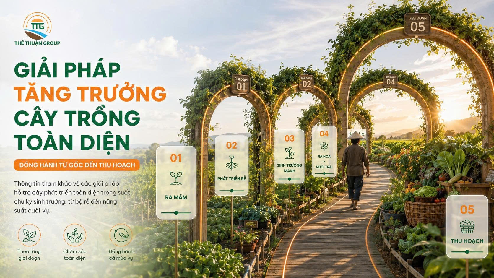 Giải pháp tăng trưởng cây trồng toàn diện Giải pháp tăng trưởng cây trồng toàn diện