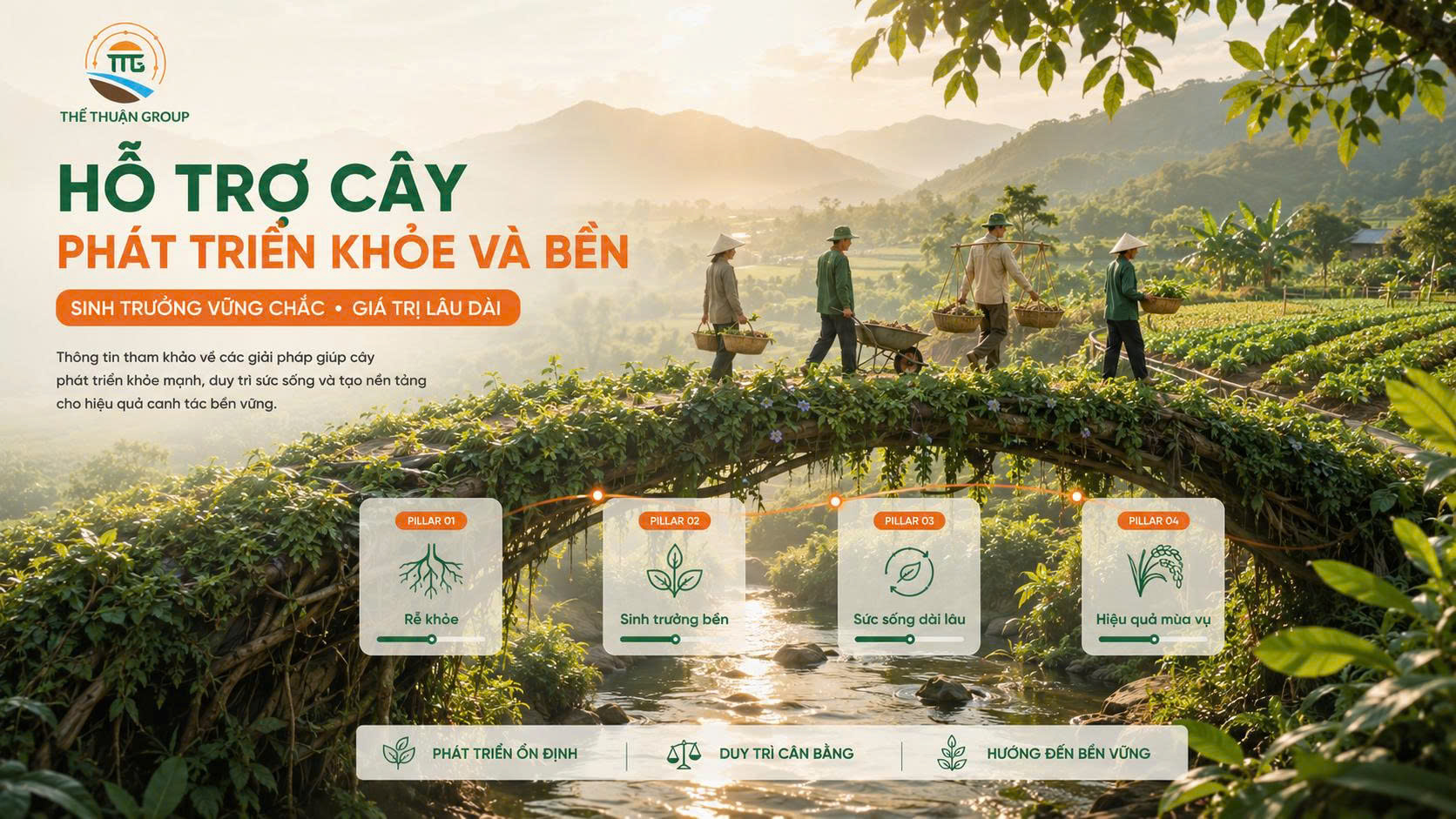 Hỗ trợ cây phát triển khỏe và bền