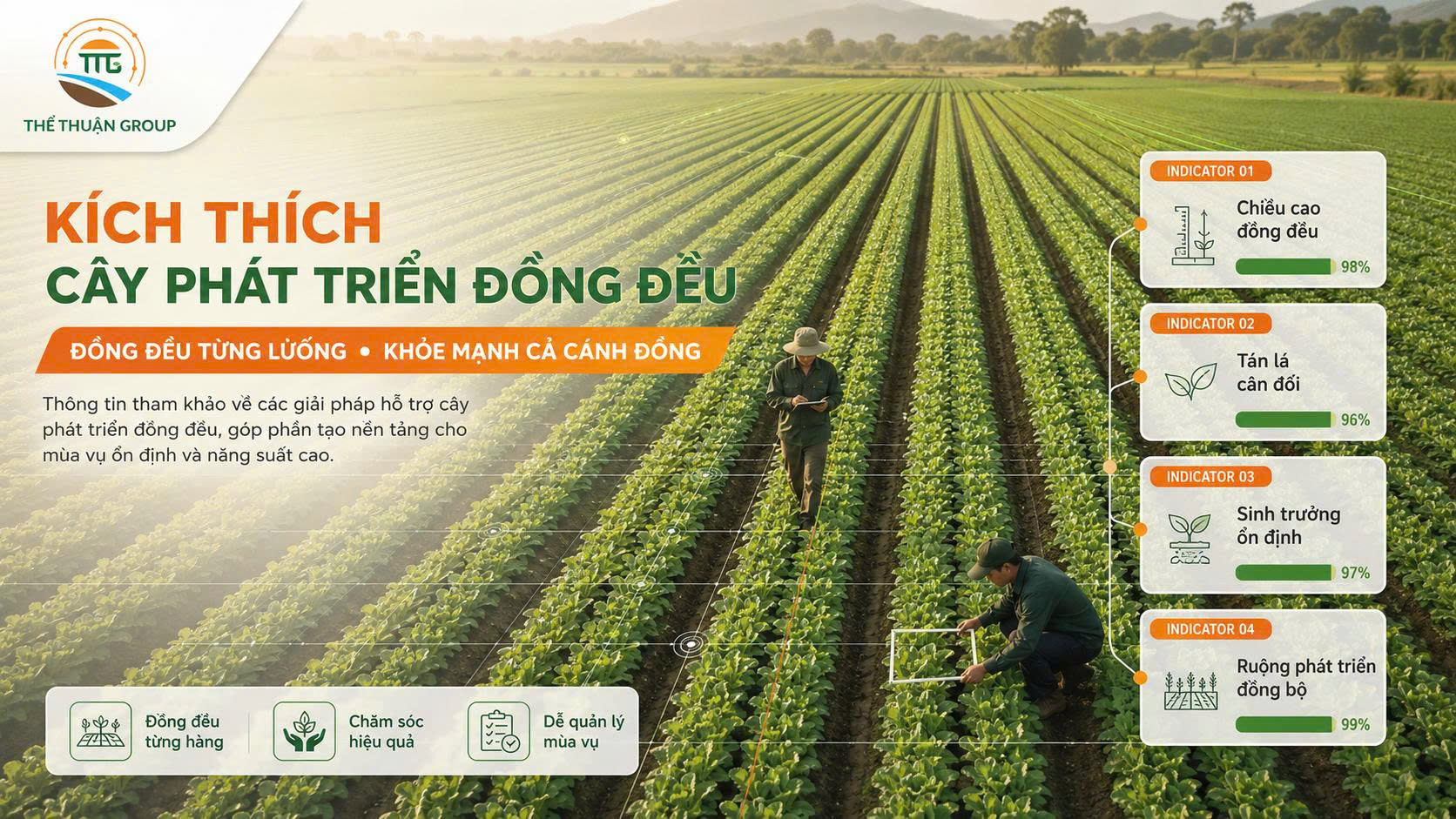 Kích thích cây phát triển đồng đều Kích thích cây phát triển đồng đều