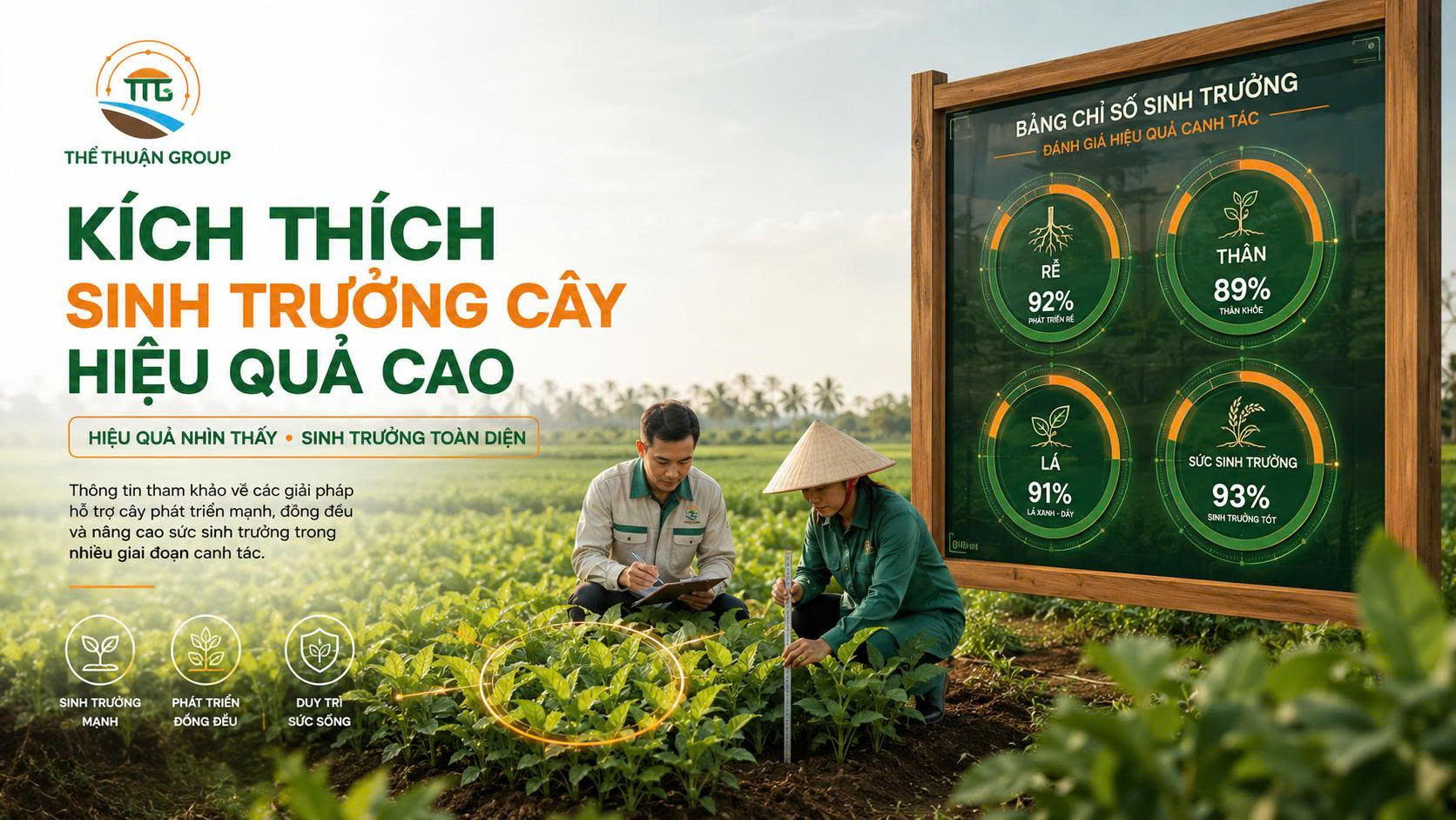Kích thích sinh trưởng cây hiệu quả cao Kích thích sinh trưởng cây hiệu quả cao
