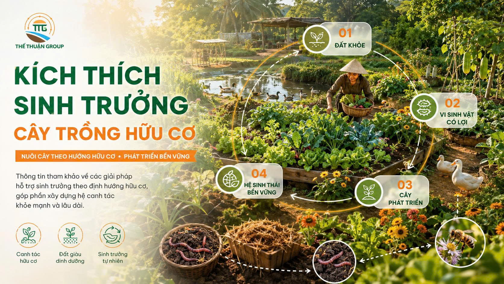 Kích thích sinh trưởng cây trồng hữu cơ Kích thích sinh trưởng cây trồng hữu cơ