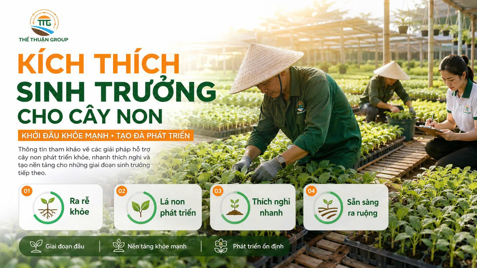 Kích thích sinh trưởng cho cây non Kích thích sinh trưởng cho cây non