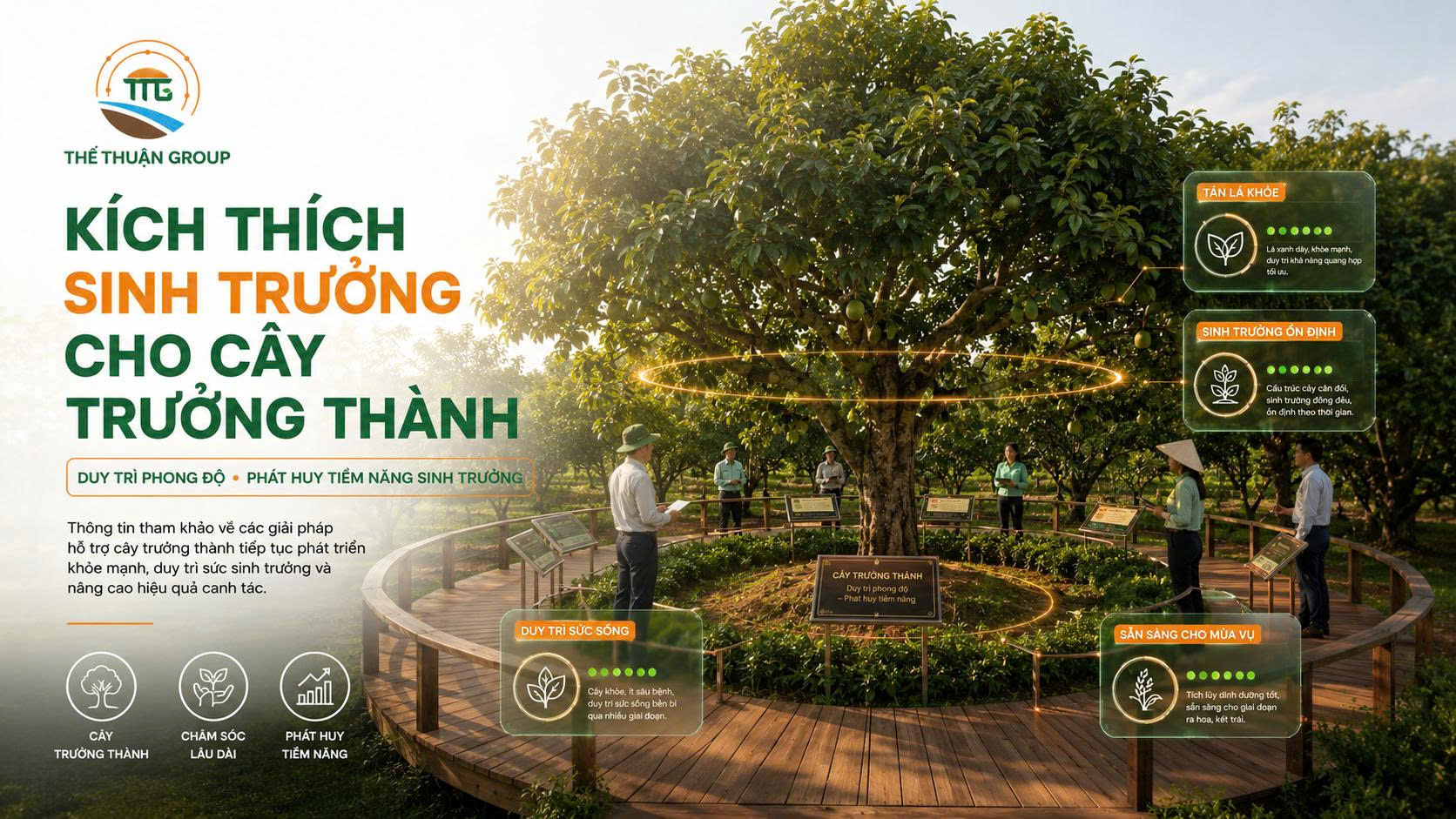 Kích thích sinh trưởng cho cây trưởng thành Kích thích sinh trưởng cho cây trưởng thành