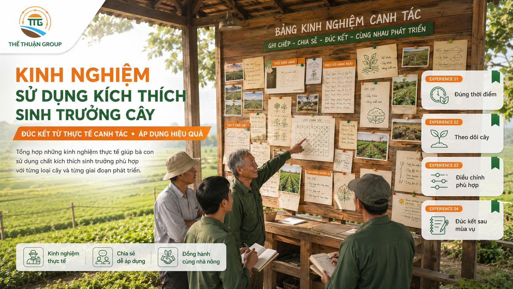 Kinh nghiệm sử dụng kích thích sinh trưởng cây Kinh nghiệm sử dụng kích thích sinh trưởng cây