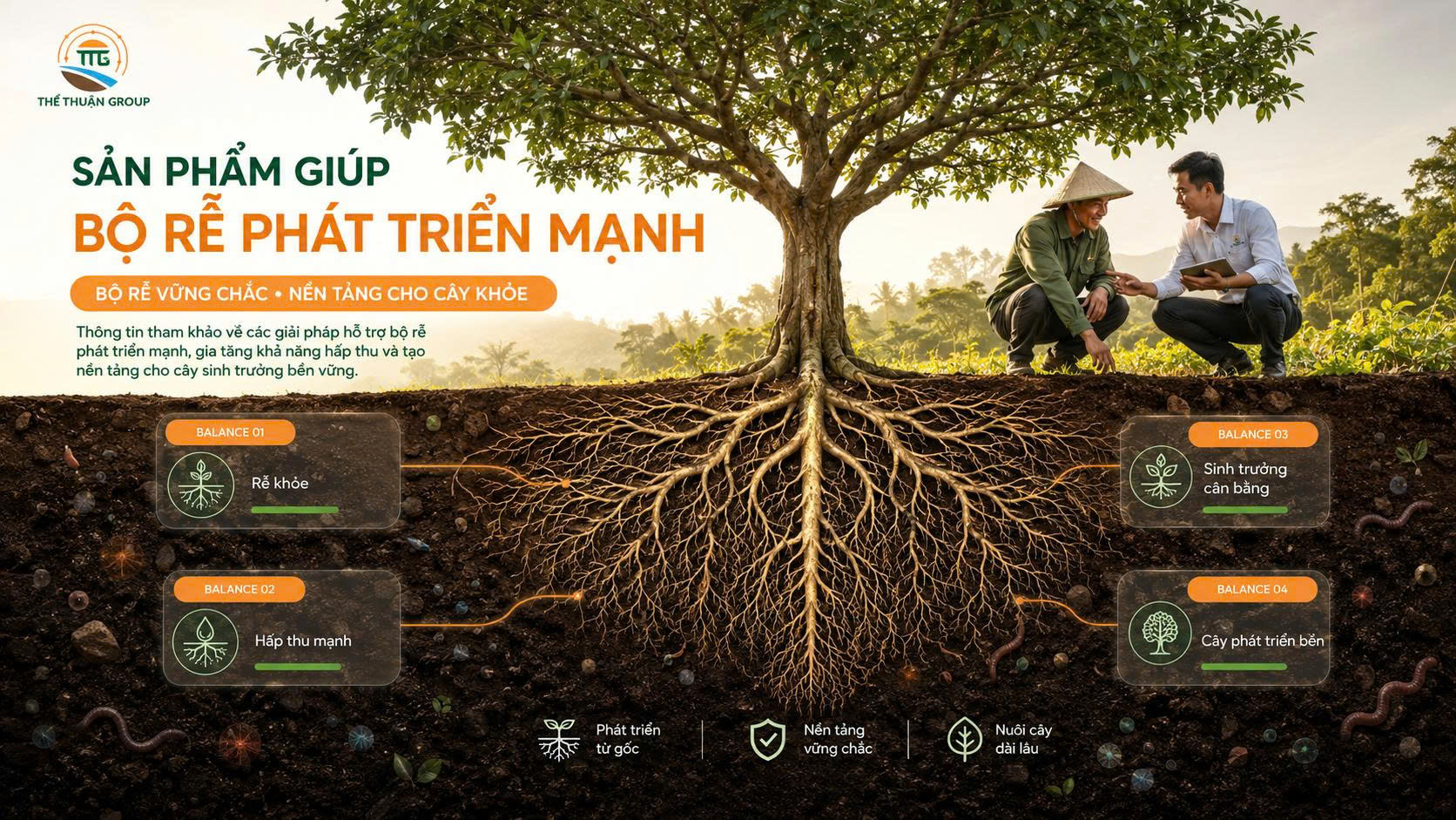 Sản phẩm giúp bộ rễ phát triển mạnh Sản phẩm giúp bộ rễ phát triển mạnh