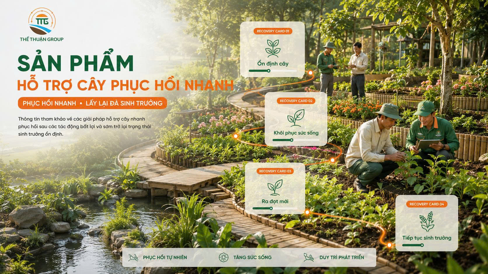 Sản phẩm hỗ trợ cây phục hồi nhanh