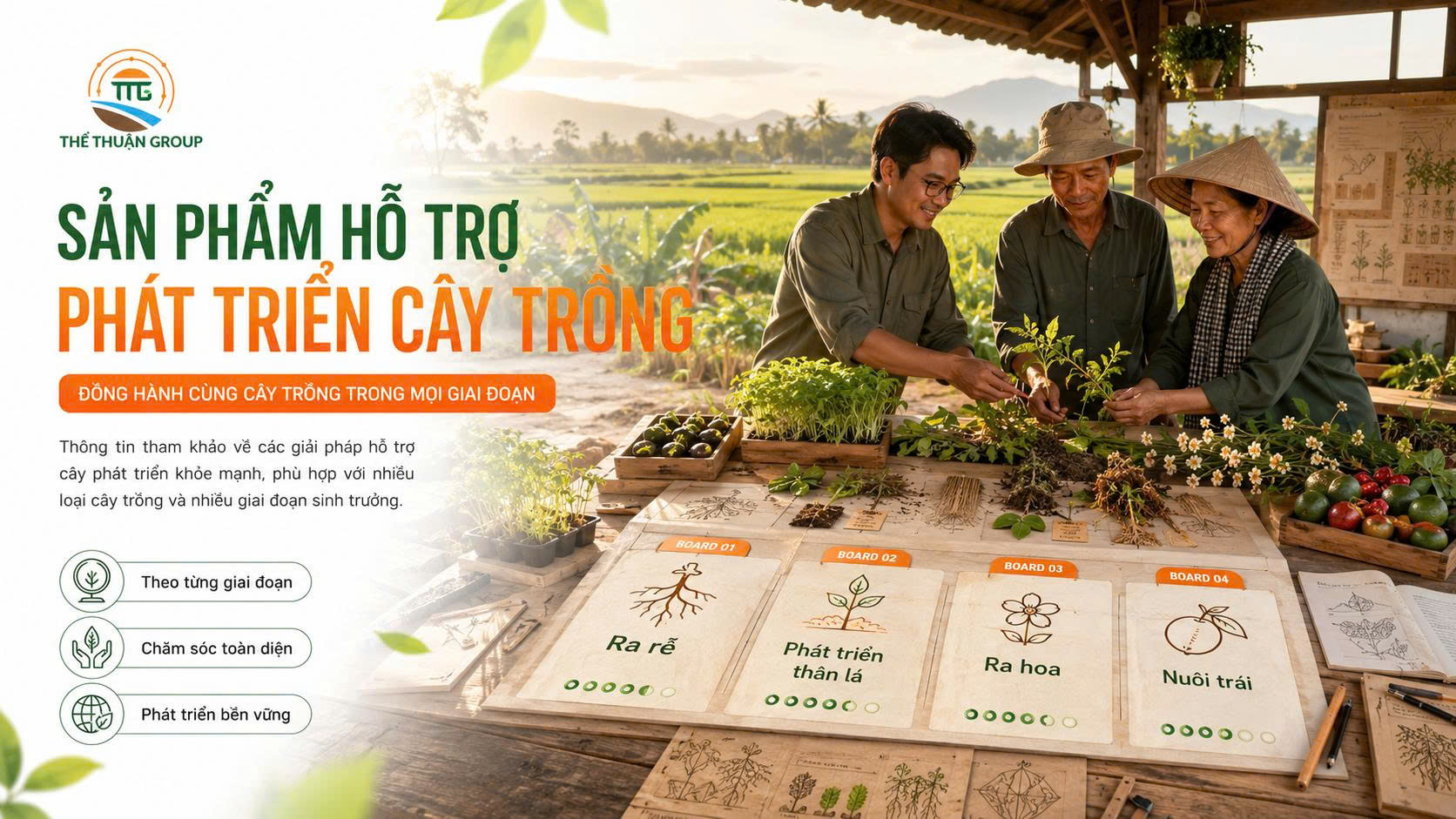 Sản phẩm hỗ trợ phát triển cây trồng