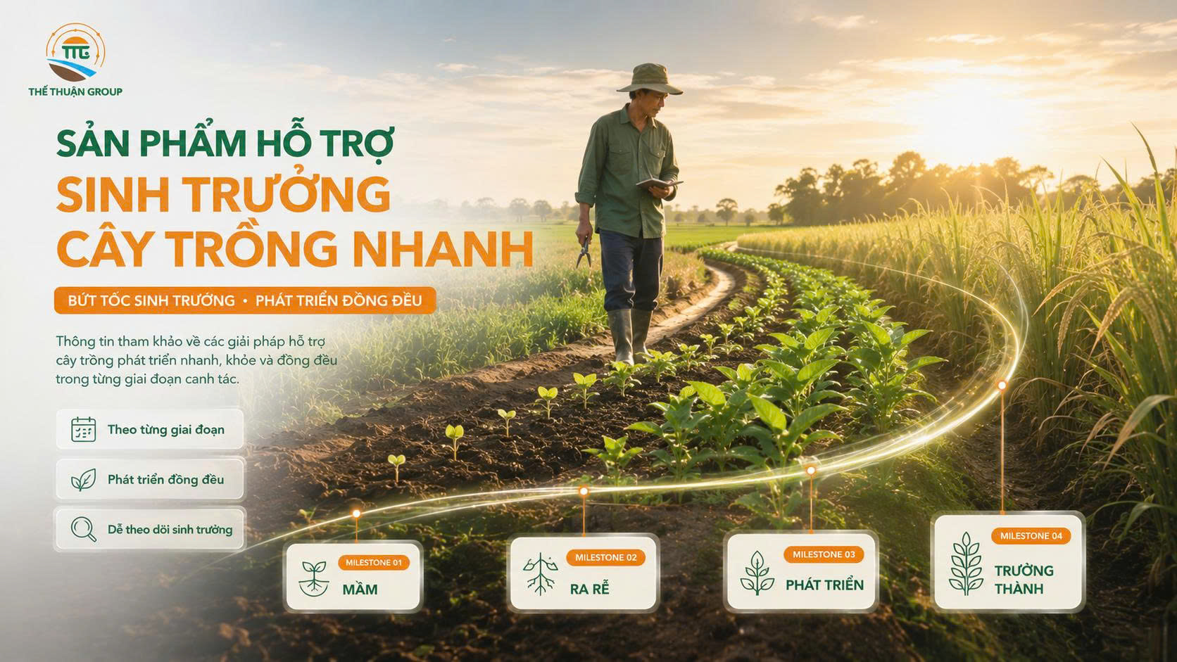 Sản phẩm hỗ trợ sinh trưởng cây trồng nhanh Sản phẩm hỗ trợ sinh trưởng cây trồng nhanh