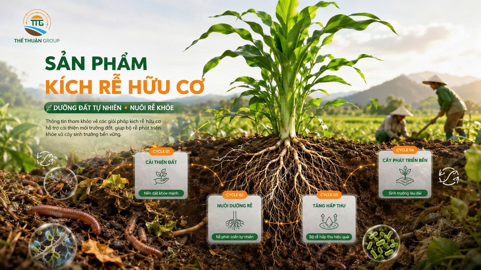 Sản phẩm kích rễ hữu cơ Sản phẩm kích rễ hữu cơ