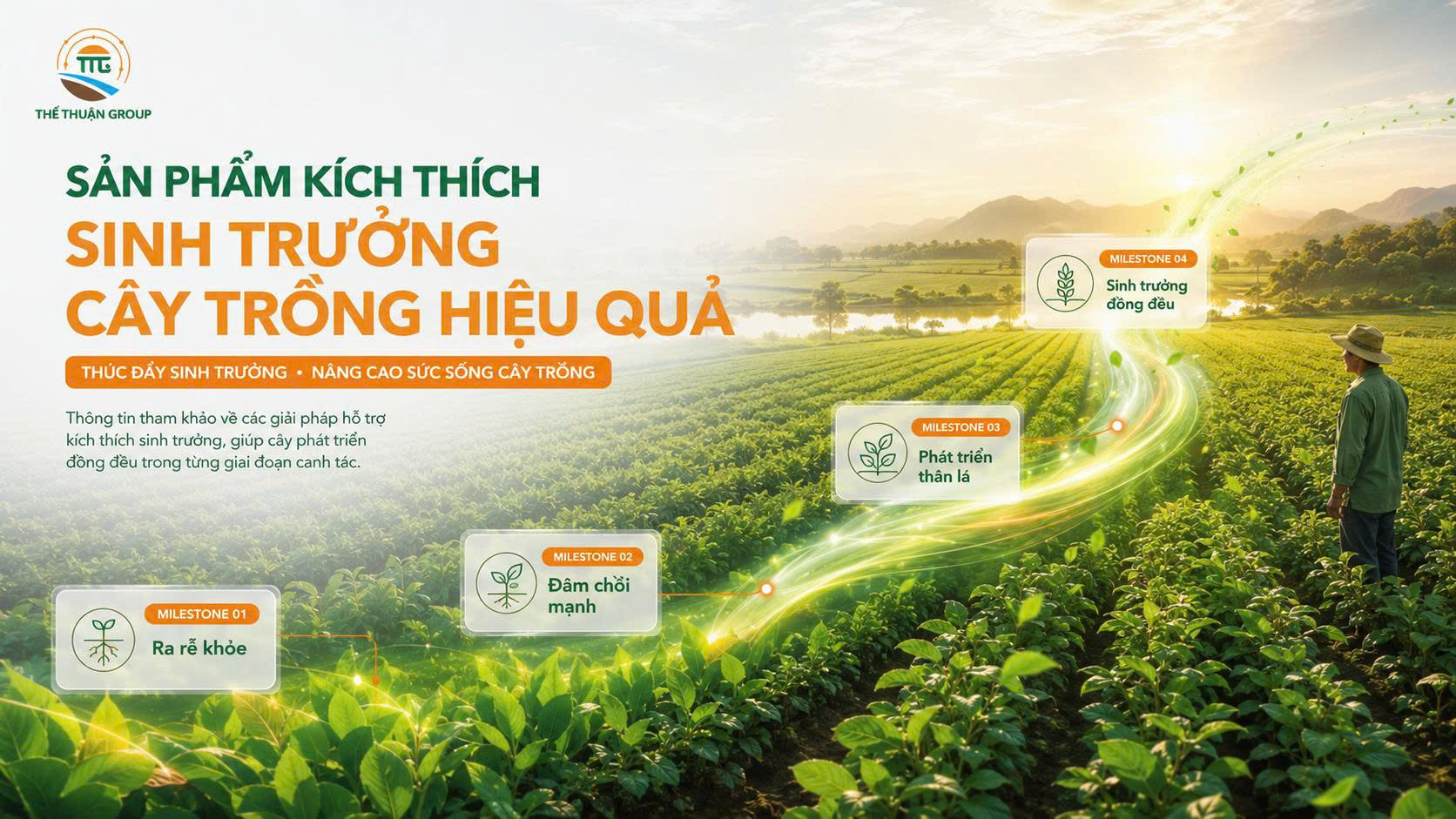 Sản phẩm kích thích sinh trưởng cây trồng hiệu quả Sản phẩm kích thích sinh trưởng cây trồng hiệu quả
