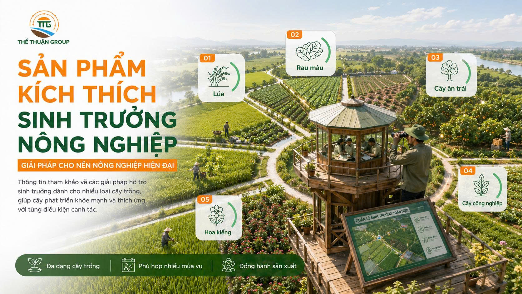 Sản phẩm kích thích sinh trưởng nông nghiệp Sản phẩm kích thích sinh trưởng nông nghiệp