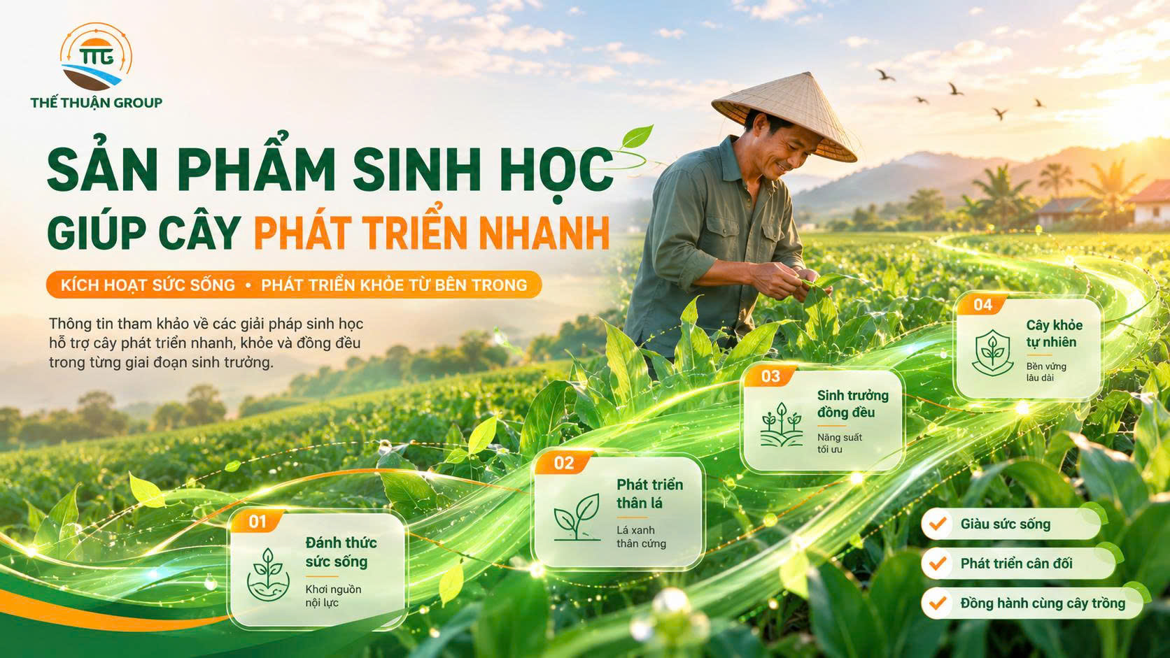 Sản phẩm sinh học giúp cây phát triển nhanh