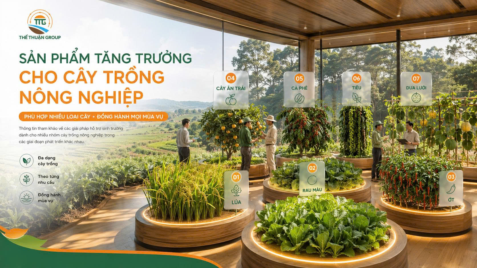 Sản phẩm tăng trưởng cho cây trồng nông nghiệp Sản phẩm tăng trưởng cho cây trồng nông nghiệp