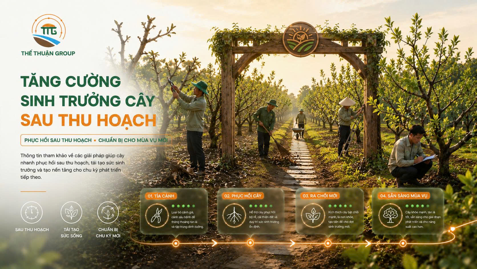 Tăng cường sinh trưởng cây sau thu hoạch Tăng cường sinh trưởng cây sau thu hoạch