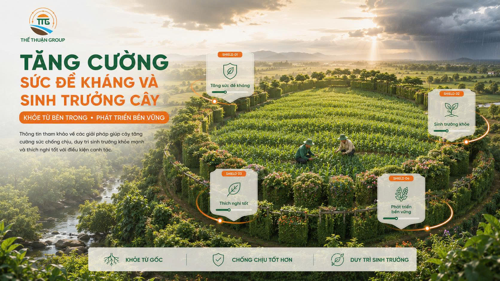 Tăng cường sức đề kháng và sinh trưởng cây