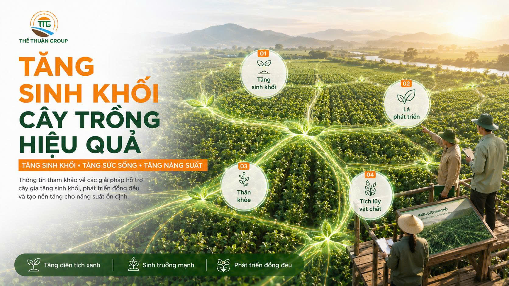 Tăng sinh khối cây trồng hiệu quả